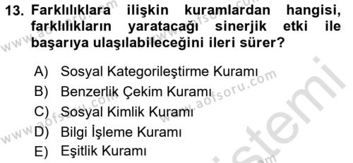 Ekip Yönetimi ve Liderlik Dersi 2022 - 2023 Yılı Yaz Okulu Sınavı 13. Soru