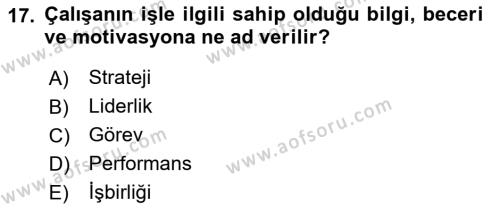 Ekip Yönetimi ve Liderlik Dersi 2022 - 2023 Yılı Yaz Okulu Sınavı 17. Soru