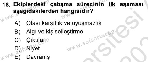 Ekip Yönetimi ve Liderlik Dersi 2022 - 2023 Yılı Yaz Okulu Sınavı 18. Soru