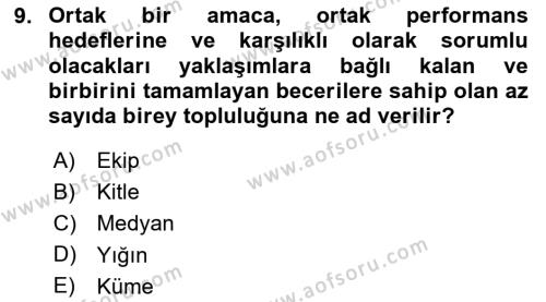 Ekip Yönetimi ve Liderlik Dersi 2023 - 2024 Yılı (Final) Dönem Sonu Sınavı 9. Soru