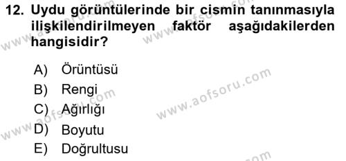 Uzaktan Algılama Dersi 2023 - 2024 Yılı Yaz Okulu Sınavı 12. Soru