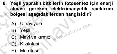 Uzaktan Algılama Dersi 2023 - 2024 Yılı Yaz Okulu Sınavı 8. Soru