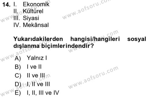 Sosyal Politika Dersi 2022 - 2023 Yılı Yaz Okulu Sınavı 14. Soru