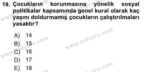 Sosyal Politika Dersi 2023 - 2024 Yılı (Final) Dönem Sonu Sınavı 19. Soru