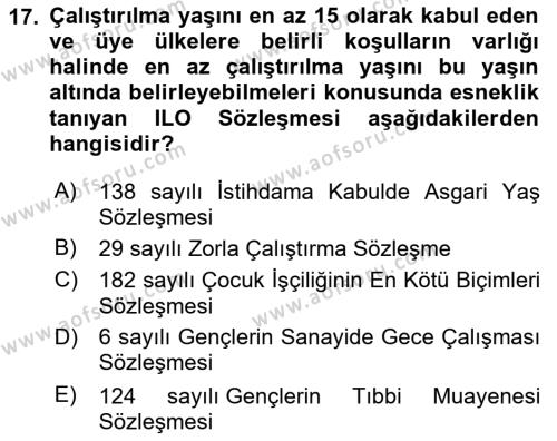 Sosyal Politika Dersi 2023 - 2024 Yılı Yaz Okulu Sınavı 17. Soru