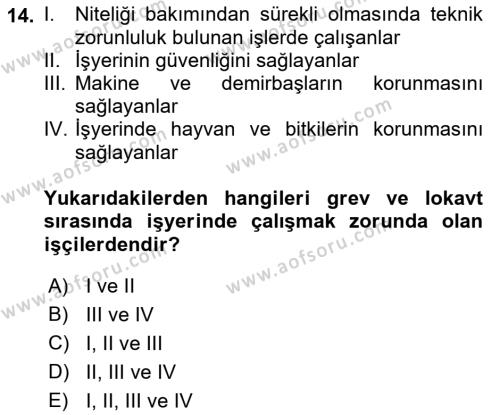 Çalışma İlişkileri Dersi 2021 - 2022 Yılı (Final) Dönem Sonu Sınavı 14. Soru