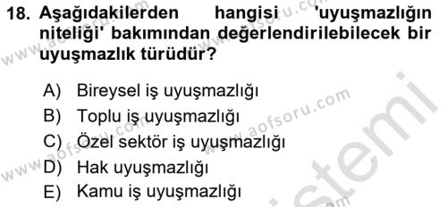 Çalışma İlişkileri Dersi 2021 - 2022 Yılı (Final) Dönem Sonu Sınavı 18. Soru