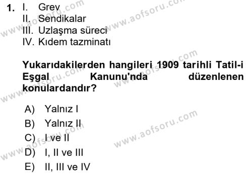 Çalışma İlişkileri Tarihi Dersi 2020 - 2021 Yılı Yaz Okulu Sınavı 1. Soru