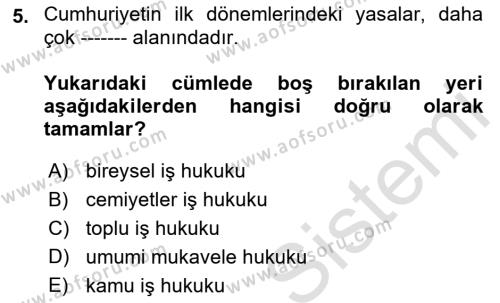 Çalışma İlişkileri Tarihi Dersi 2021 - 2022 Yılı Yaz Okulu Sınavı 5. Soru