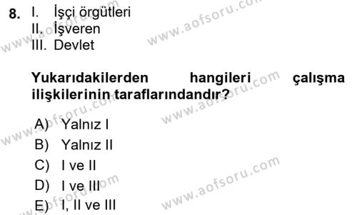 Çalışma İlişkileri Tarihi Dersi 2022 - 2023 Yılı (Vize) Ara Sınavı 8. Soru