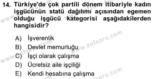 Çalışma İlişkileri Tarihi Dersi 2022 - 2023 Yılı Yaz Okulu Sınavı 14. Soru