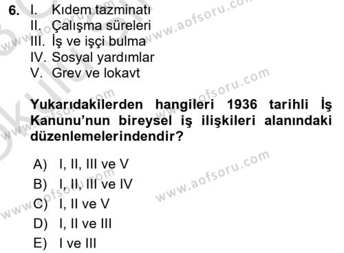 Çalışma İlişkileri Tarihi Dersi 2022 - 2023 Yılı Yaz Okulu Sınavı 6. Soru