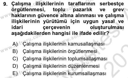 Çalışma İlişkileri Tarihi Dersi 2022 - 2023 Yılı Yaz Okulu Sınavı 9. Soru