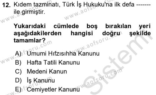 Çalışma İlişkileri Tarihi Dersi 2023 - 2024 Yılı (Vize) Ara Sınavı 12. Soru