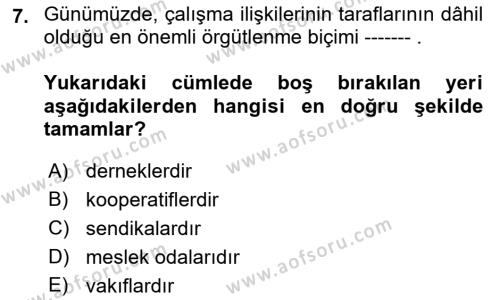 Çalışma İlişkileri Tarihi Dersi 2023 - 2024 Yılı (Vize) Ara Sınavı 7. Soru