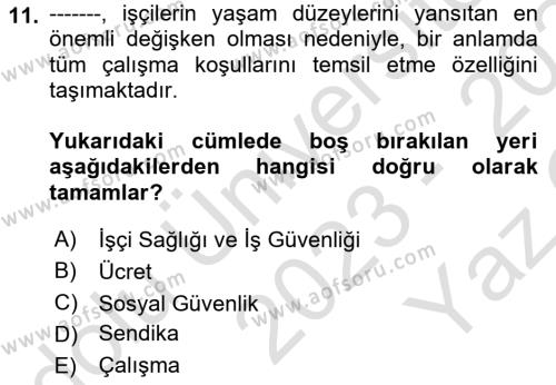 Çalışma İlişkileri Tarihi Dersi 2023 - 2024 Yılı Yaz Okulu Sınavı 11. Soru