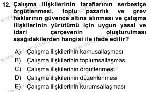 Çalışma İlişkileri Tarihi Dersi 2023 - 2024 Yılı Yaz Okulu Sınavı 12. Soru