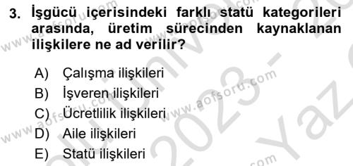 Çalışma İlişkileri Tarihi Dersi 2023 - 2024 Yılı Yaz Okulu Sınavı 3. Soru