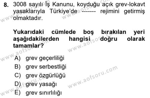 Çalışma İlişkileri Tarihi Dersi 2023 - 2024 Yılı Yaz Okulu Sınavı 8. Soru