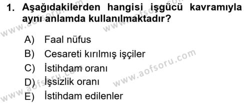 Çalışma İlişkileri Tarihi Dersi 2024 - 2025 Yılı (Vize) Ara Sınavı 1. Soru