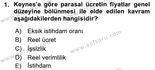 İstihdam ve İşsizlik Dersi 2022 - 2023 Yılı (Vize) Ara Sınavı 1. Soru