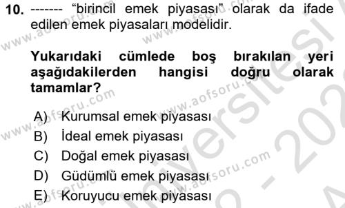 İstihdam ve İşsizlik Dersi 2022 - 2023 Yılı (Vize) Ara Sınavı 10. Soru