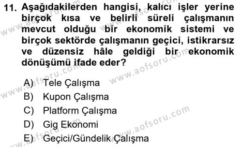 İstihdam ve İşsizlik Dersi 2022 - 2023 Yılı (Vize) Ara Sınavı 11. Soru