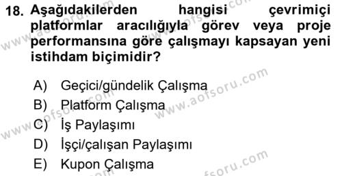 İstihdam ve İşsizlik Dersi 2022 - 2023 Yılı (Vize) Ara Sınavı 18. Soru