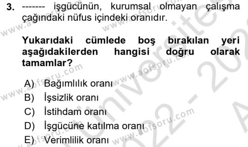 İstihdam ve İşsizlik Dersi 2022 - 2023 Yılı (Vize) Ara Sınavı 3. Soru