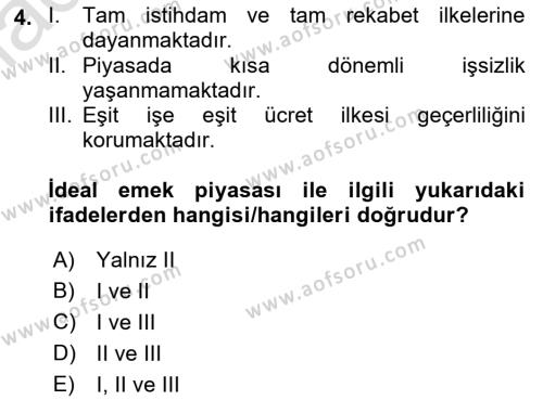 İstihdam ve İşsizlik Dersi 2022 - 2023 Yılı (Vize) Ara Sınavı 4. Soru