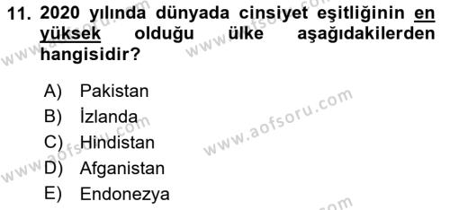 İstihdam ve İşsizlik Dersi 2022 - 2023 Yılı Yaz Okulu Sınavı 11. Soru