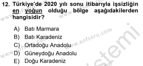 İstihdam ve İşsizlik Dersi 2022 - 2023 Yılı Yaz Okulu Sınavı 12. Soru