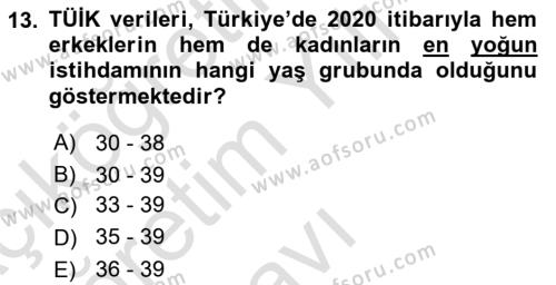 İstihdam ve İşsizlik Dersi 2022 - 2023 Yılı Yaz Okulu Sınavı 13. Soru