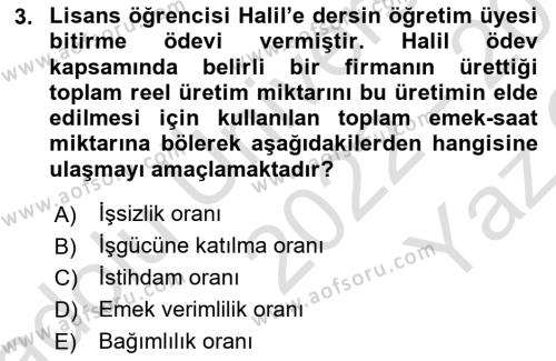 İstihdam ve İşsizlik Dersi 2022 - 2023 Yılı Yaz Okulu Sınavı 3. Soru