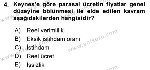 İstihdam ve İşsizlik Dersi 2022 - 2023 Yılı Yaz Okulu Sınavı 4. Soru