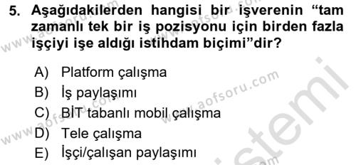 İstihdam ve İşsizlik Dersi 2022 - 2023 Yılı Yaz Okulu Sınavı 5. Soru