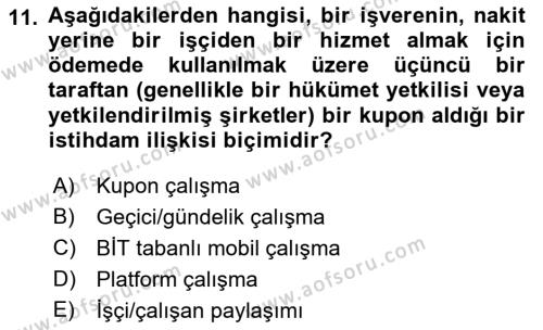 İstihdam ve İşsizlik Dersi 2023 - 2024 Yılı (Vize) Ara Sınavı 11. Soru