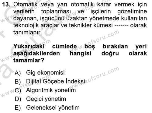 İstihdam ve İşsizlik Dersi 2023 - 2024 Yılı (Vize) Ara Sınavı 13. Soru