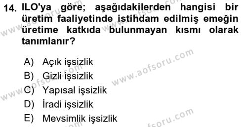 İstihdam ve İşsizlik Dersi 2023 - 2024 Yılı (Vize) Ara Sınavı 14. Soru