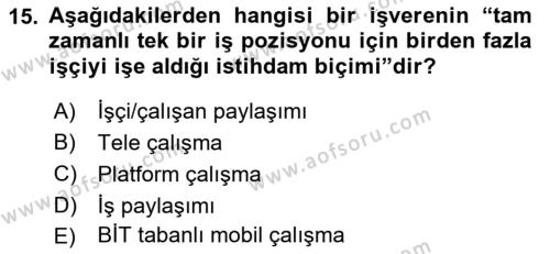 İstihdam ve İşsizlik Dersi 2023 - 2024 Yılı (Vize) Ara Sınavı 15. Soru