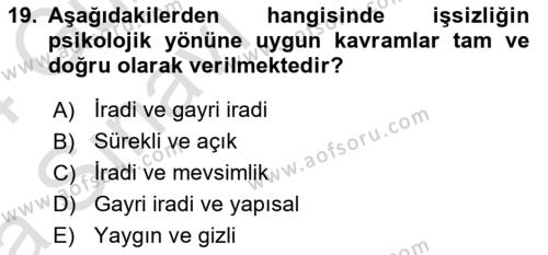 İstihdam ve İşsizlik Dersi 2023 - 2024 Yılı (Vize) Ara Sınavı 19. Soru