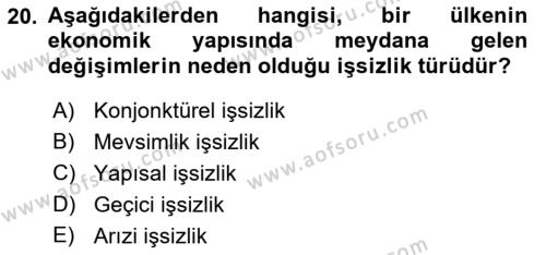 İstihdam ve İşsizlik Dersi 2023 - 2024 Yılı (Vize) Ara Sınavı 20. Soru