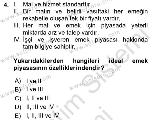 İstihdam ve İşsizlik Dersi 2023 - 2024 Yılı (Vize) Ara Sınavı 4. Soru