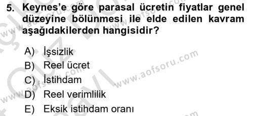 İstihdam ve İşsizlik Dersi 2023 - 2024 Yılı (Vize) Ara Sınavı 5. Soru