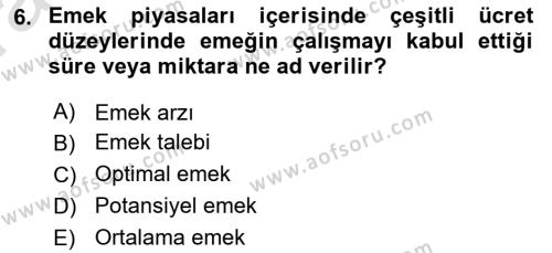 İstihdam ve İşsizlik Dersi 2023 - 2024 Yılı (Vize) Ara Sınavı 6. Soru