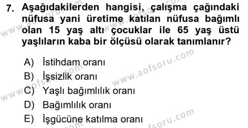 İstihdam ve İşsizlik Dersi 2023 - 2024 Yılı (Vize) Ara Sınavı 7. Soru