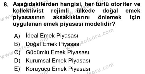 İstihdam ve İşsizlik Dersi 2023 - 2024 Yılı (Vize) Ara Sınavı 8. Soru