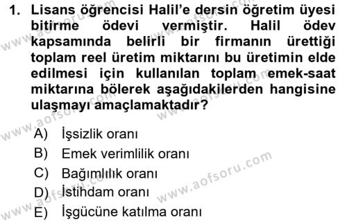 İstihdam ve İşsizlik Dersi 2024 - 2025 Yılı (Vize) Ara Sınavı 1. Soru