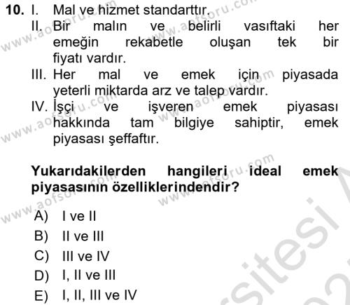 İstihdam ve İşsizlik Dersi 2024 - 2025 Yılı (Vize) Ara Sınavı 10. Soru