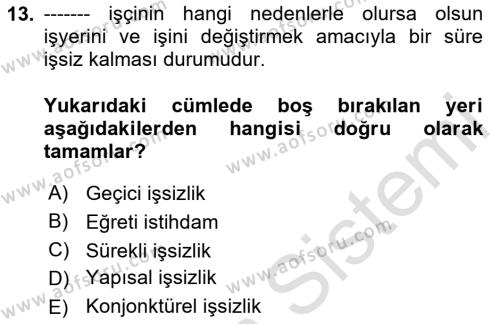 İstihdam ve İşsizlik Dersi 2024 - 2025 Yılı (Vize) Ara Sınavı 13. Soru